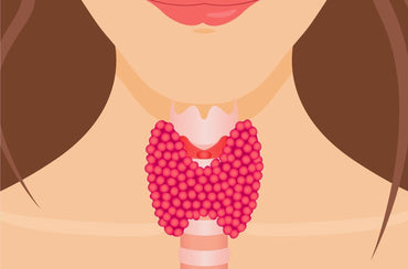 The Importance Of Your Thyroid Health