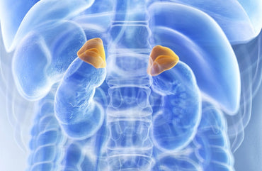Managing Adrenal Problems
